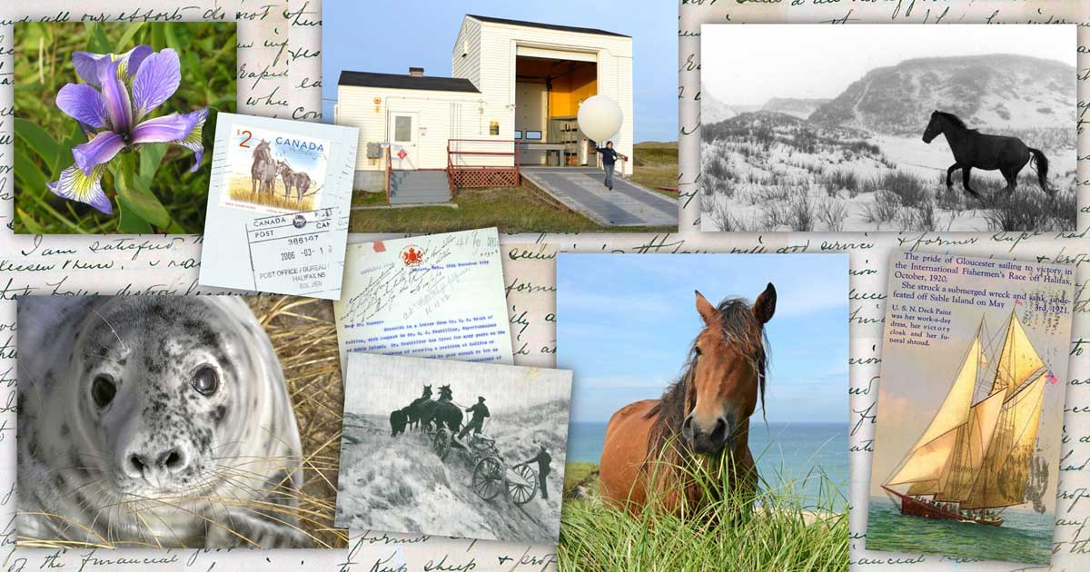 A collage of photos showing horses, a seal, a blue iris flower, a weather balloon, and copies of old letters and a post card showing the famous fishing schooner called Esperanto.